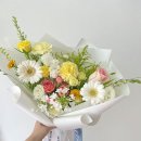 로즈드메 이미지