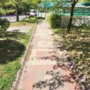 초록공인중개사사무소 이미지