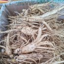 금산인삼 이미지