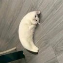 성광오토바이 - 창원시 마산합포구 노산남7길 31 | 더워도 열심히 돌아다녀 - 플리즈노팔로우 메쉬 가디건 후기?