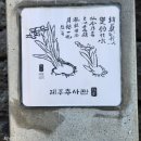 제주 모슬포 알뜨르 비행장 일제 지하벙커 | 제주에서 배우다_ 모슬포알뜨르비행장 지하벙커/ 제주추사관