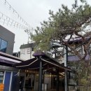 대구 수성구 들안길 서민갈비 솔직후기: 갈비가 미쳤다! 양념 제대로 밴 육즙 폭발 고기