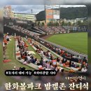 GS25 우송대정문점 | 대전 한화생명볼파크 한화이글스 밤켈존 잔디석 돗자리 대여 방법 및 관람 후기(feat.외야커플석)