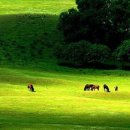 산장기차여행 이미지