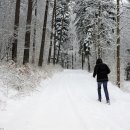 경희대인한의원 이미지