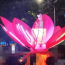 2026 형형색색 달구벌 연등행렬 후기 두류네거리 차량통제와 실제 현장 분위기