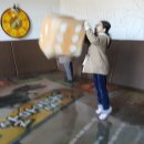 공룡게임장 이미지