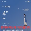 머꼬요 Daum카페