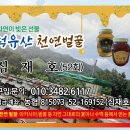 52회 심재호 덕유산천연벌꿀 이미지