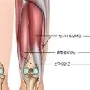로얄피트니스 이미지