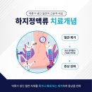 부산서울하정외과의원 | 부산혈관외과 튀어나온 혈관 방치하다간 큰병으로 번질 수 있습니다