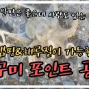 태안 장삼포 낚시 포인트 이미지