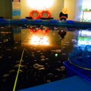 뚜루실내낚시놀이터 이미지