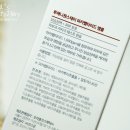 스테이마카