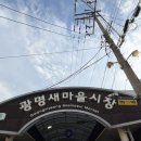 광명 새마을시장 즉석떡볶이 돈가스 맛집 민들레영토 kcm단골