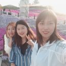 꽃잔디뜨락