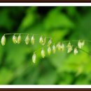 여름목장 이미지