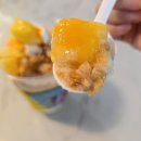 용아초등학교 | 동남지구 메가커피 망고 빙수 막차탄 후기 칼로리 정보까지