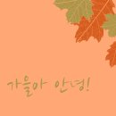 대송중학교 이미지