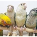 유리농장2 이미지