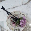 레이디올 이미지