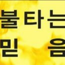 소망 인셀덤 이미지