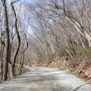 선암사 관광안내소 이미지