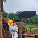 히든빌리지 이미지