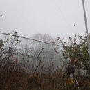 호야네농장 이미지