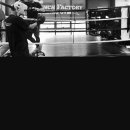 펀치팩토리 이미지