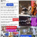 보성읍사무소 이미지