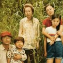 영화-미나리 이미지