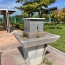 군민체육공원 인라인스케이트장 이미지