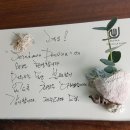 제주다와 이미지