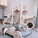 펫스토어1004 이미지