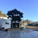 🫧🌿Wedding 01. 인터불고호텔 만촌 파크빌리지 웨딩홀 계약후기 | 대구 밝은 웨딩