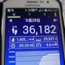 터미널5길 이미지