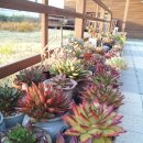 동운가든 이미지