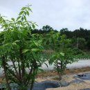 열음농장 이미지