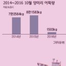남교교