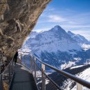 킴스마트 이미지