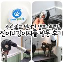 강아지풀 | 진이네강아지풀 방문 후기 / 수원 광교 반려견 셀프샤워장 추천🐶