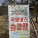 산수유꽃길로 | 의성 봄꽃축제 산수유마을 꽃맞이 행사 산수유 꽃길