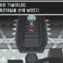드레곤체육관 이미지