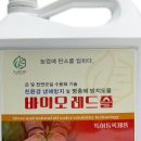 목면농자재
