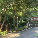 바다의 숲속 이미지