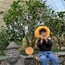 왕궁포레스트 이미지