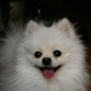 안녕하세요 이미지