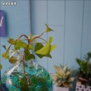 남성컷트점 | 명일동 미용실 블루&블루 가격이벤트주차운영시간