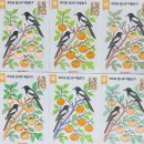 상그릴라요양병원 이미지